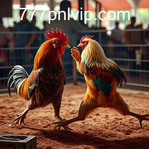 Exploring the World of Online Sabong with 777pnl